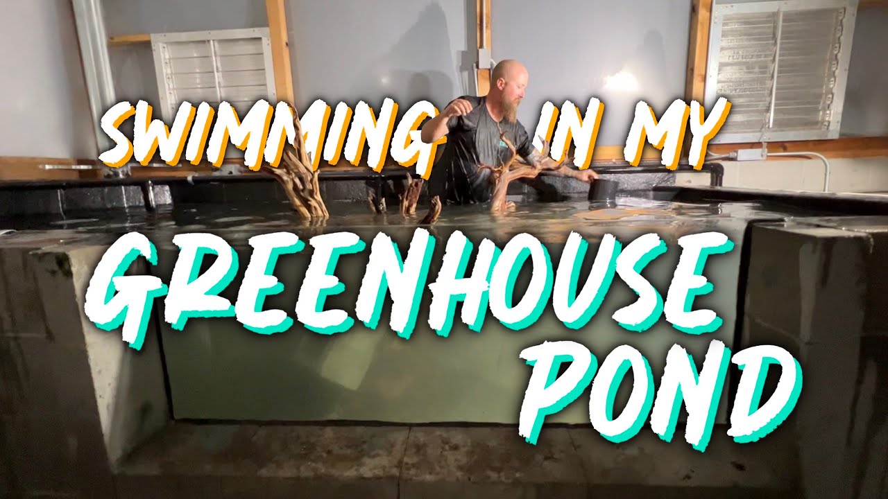 SWIMMING IN TROPICAL GREENHOUSE POND | POND IS COMPLETED! 👏
