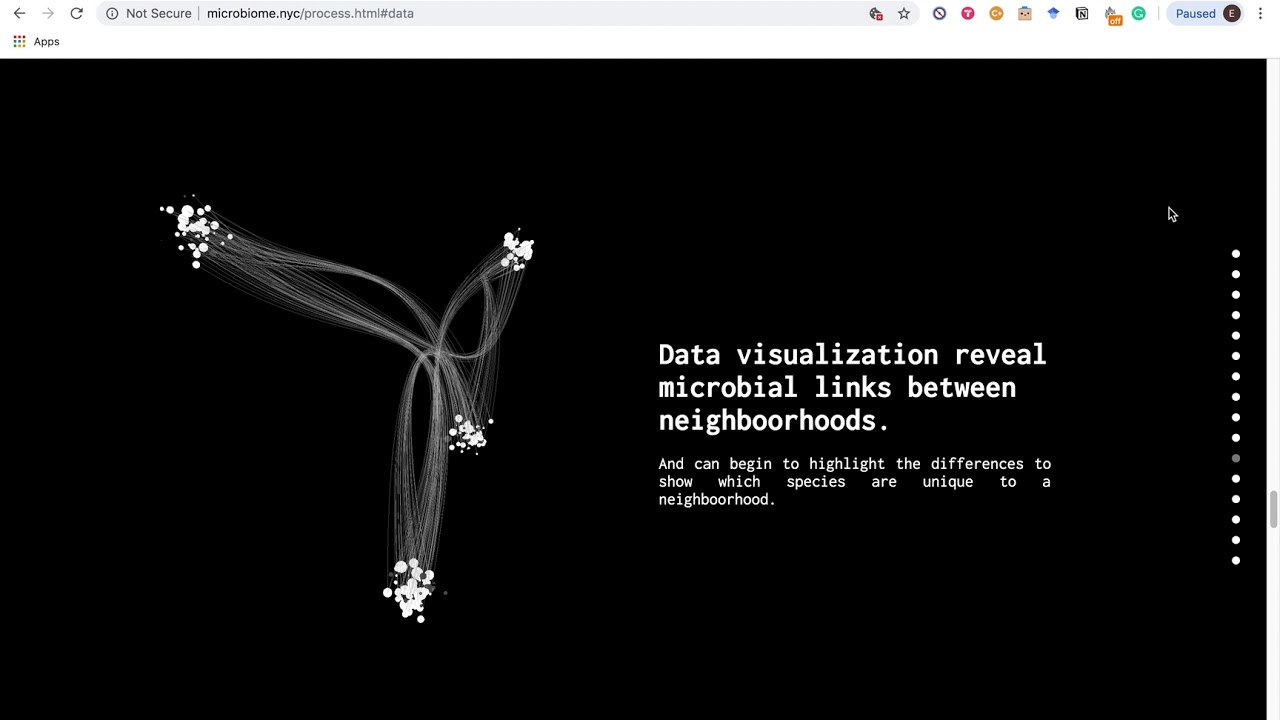 Holobiont Urbanism 1