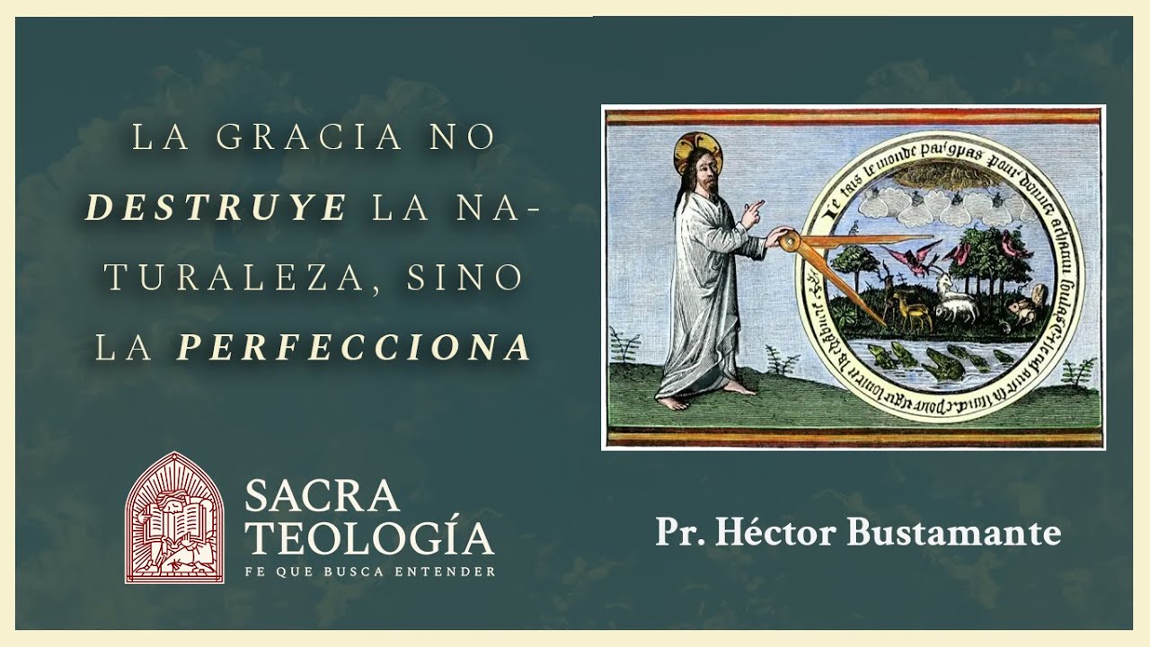 Educación Clásica: La gracia no destruye la naturaleza, sino que la perfecciona — Héctor Bustamante