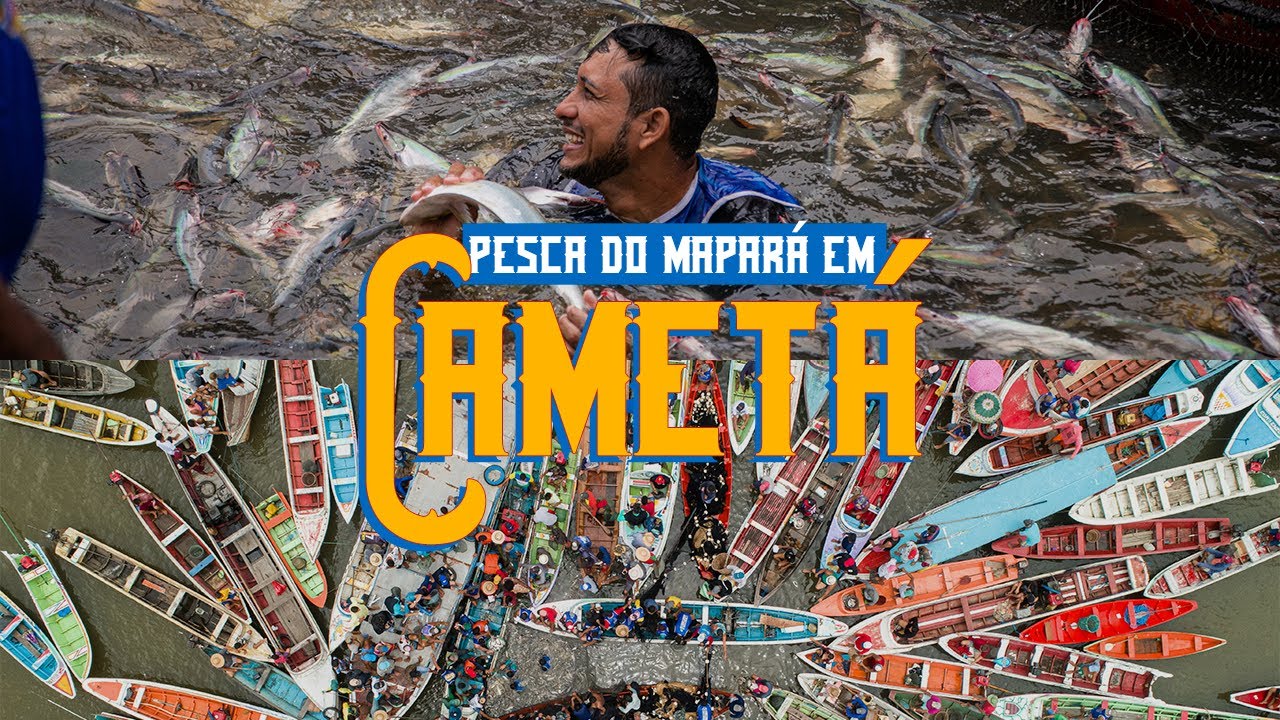 A INCRÍVEL pesca do MAPARÁ na Amazônia