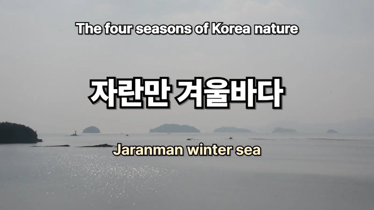 Jaranman winter sea 자란만 겨울 바다 물멍