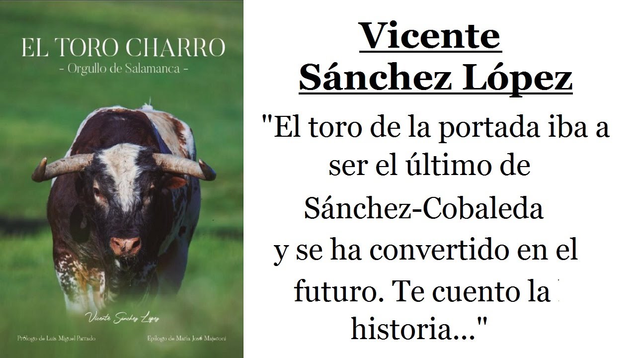 Vicente Sánchez López: 
