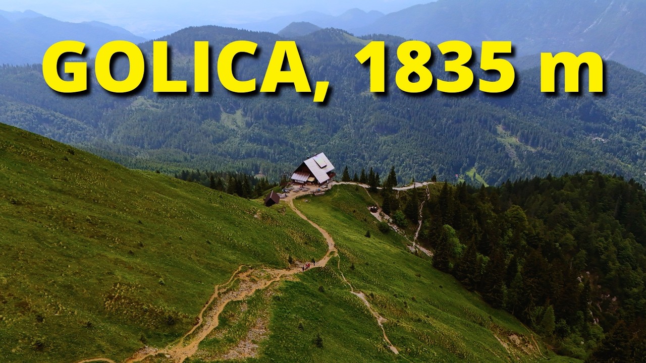 Brez gneče na Golico - ZADNJE narcise in šokantni razgled