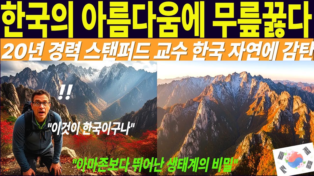 미국 스탠퍼드교수 한국의 아름다움에 감탄하다 한국화이팅!!
