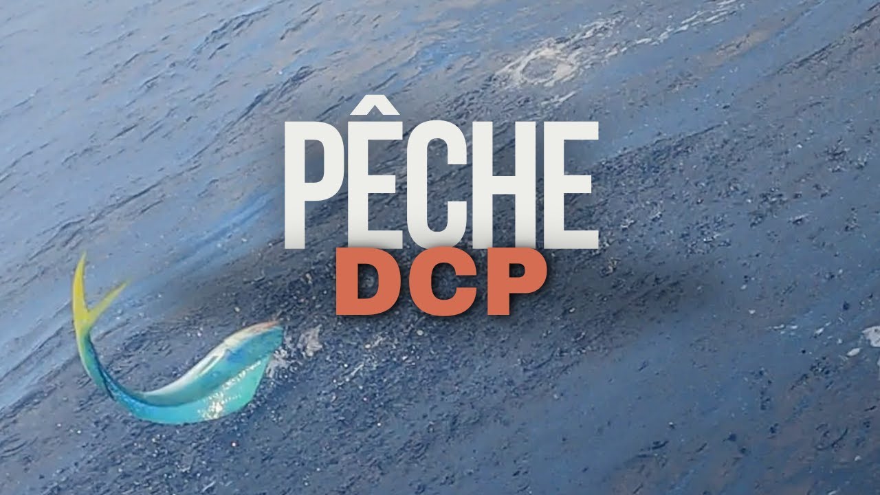 DCP - Pêche de grand fond