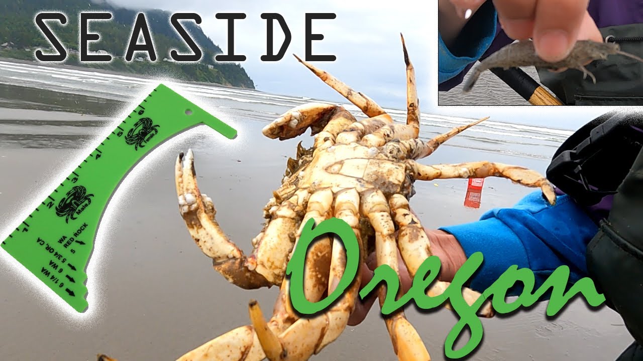 Seaside Oregon: Low Tide Fishing Adventure