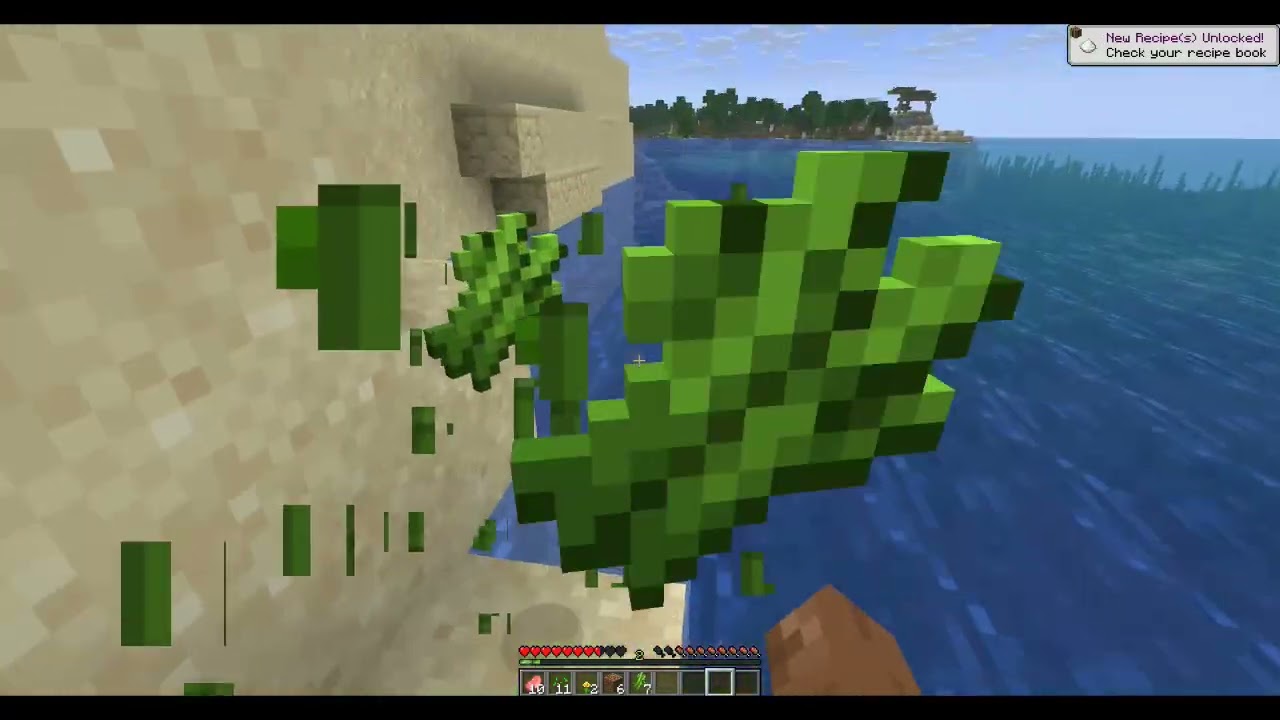 Trying to beat minecraft (New game)