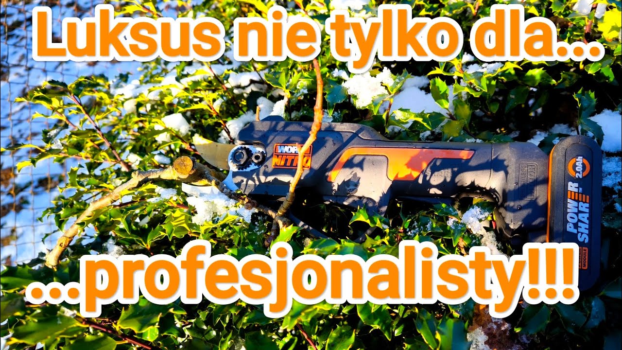 Worx WG330E.9  sekator do gałęzi akumulatorowy.