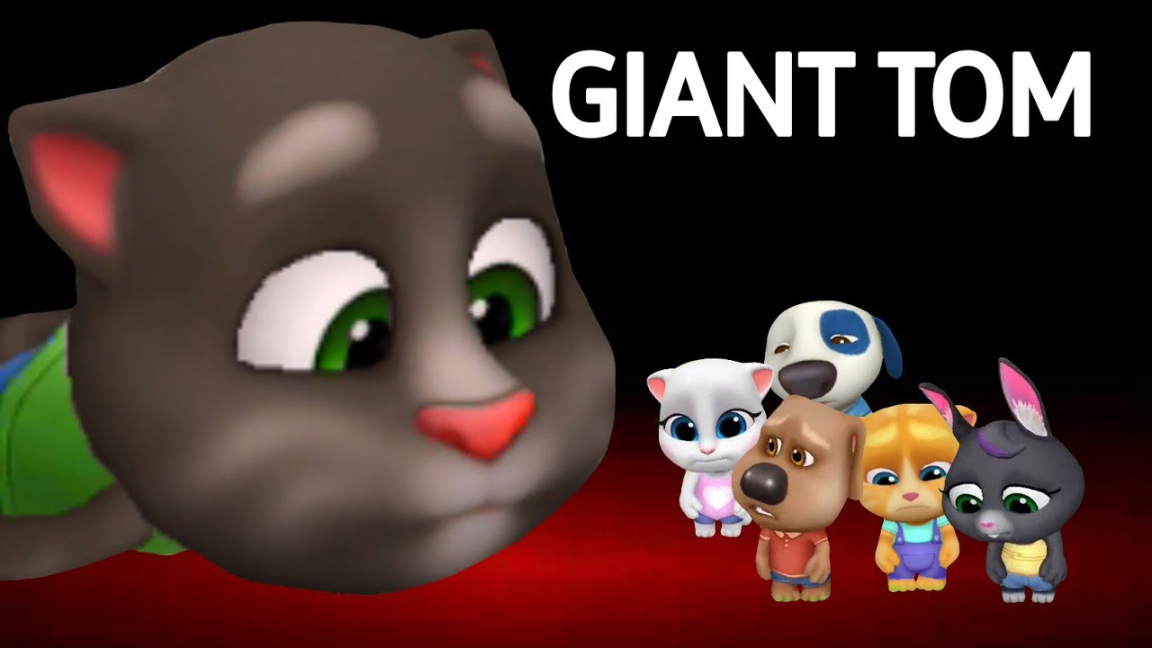 My Talking Tom Friends - Giant Tom - Why Everybody Hates Tom - Goodbye Tom - Talking Tom Gold Run