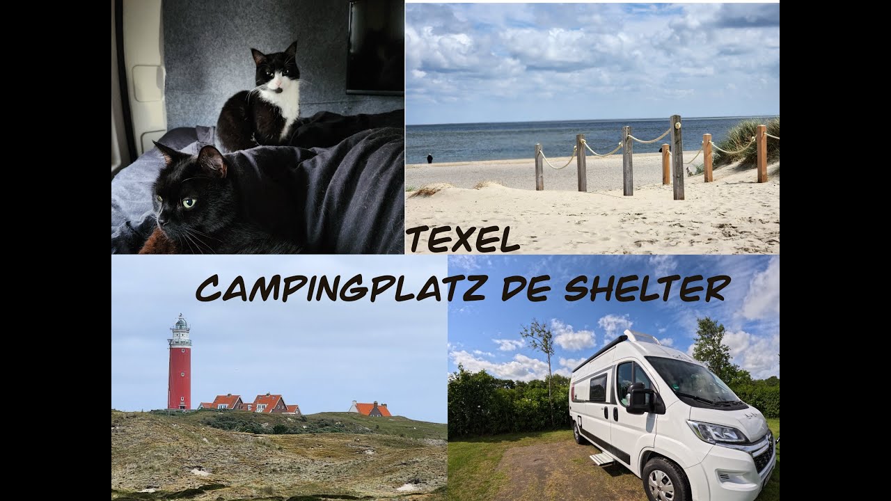 Campingplatz de Shelter auf Texel, Camping mit 2 Katzen, Juni 2024