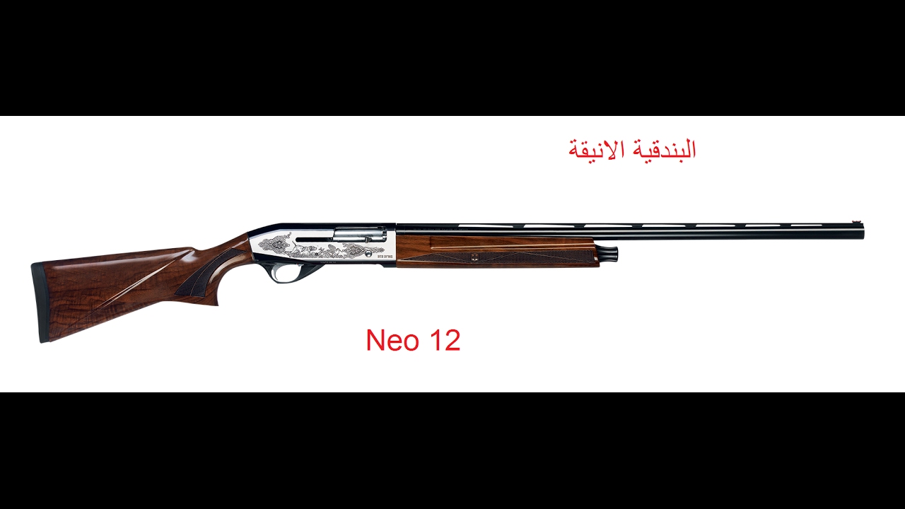 البندقية الانيقة Neo 12  من ATA arms