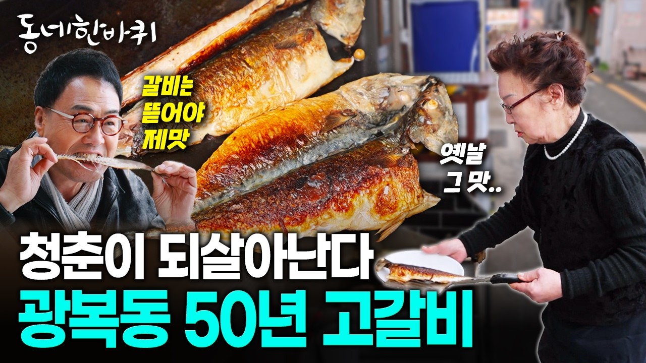 부산에서 대학 나왔으면 아는 그 맛, 광복동 50년 원조 고갈비 | KBS 260404 방송