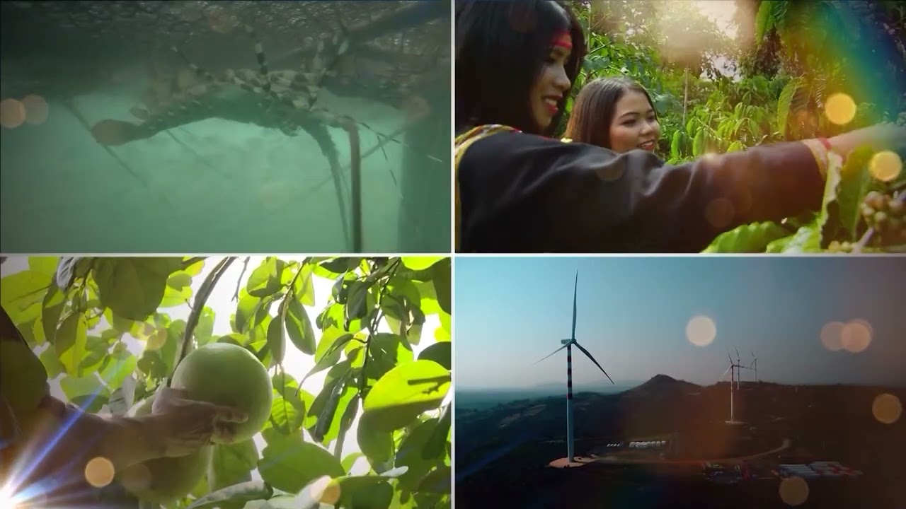 PS Kinh tế Đắk Lắk Bức phá vươn lên trong mùa xuân mới