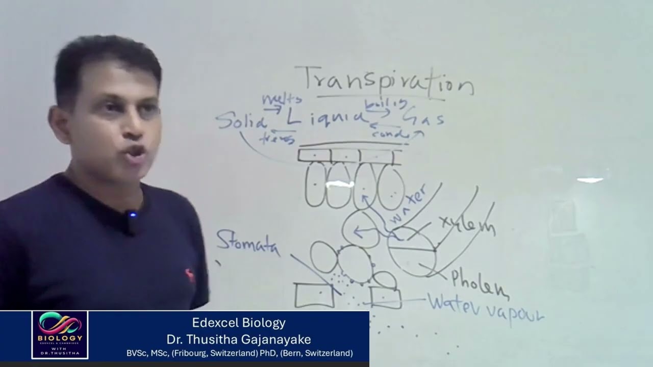 19  Edexcel IGCSE Biology Class  17.12.2025