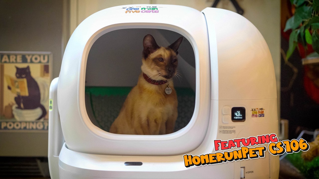 Petkit Purobot Max Pro 2 против Homerunpet: что лучше?