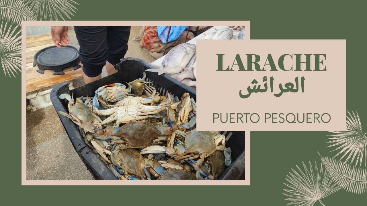DE TETUÁN A LARACHE ❤️ VISITA AL PUERTO PESQUERO DE LARACHE العرائش