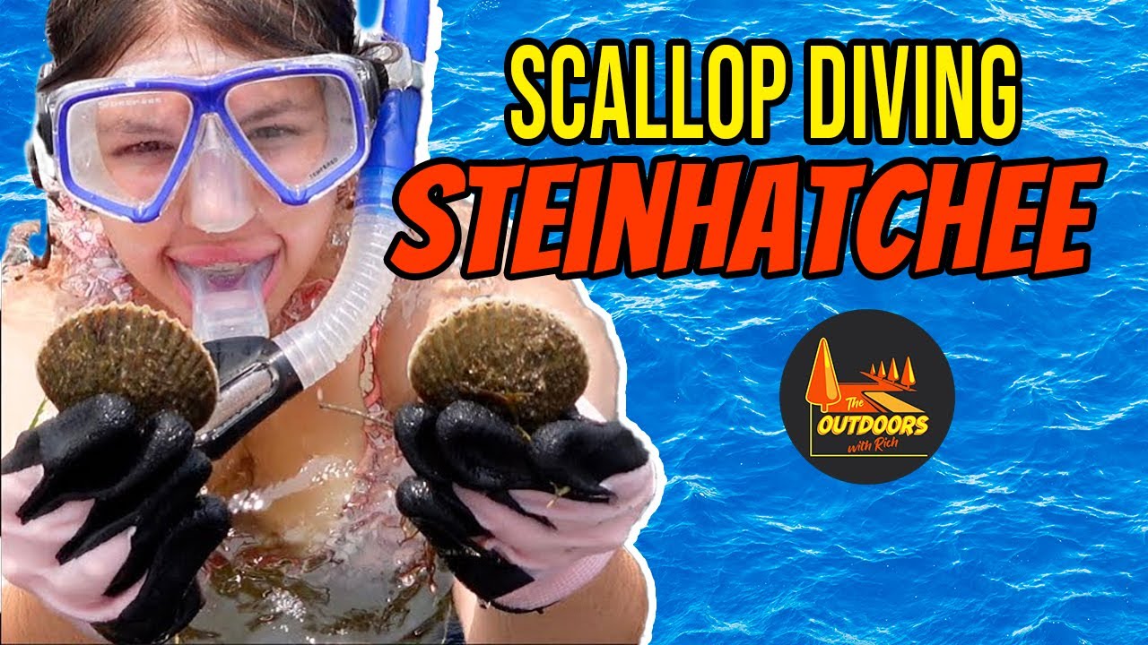 THIS is Where You SHOULD Be Scallop Diving