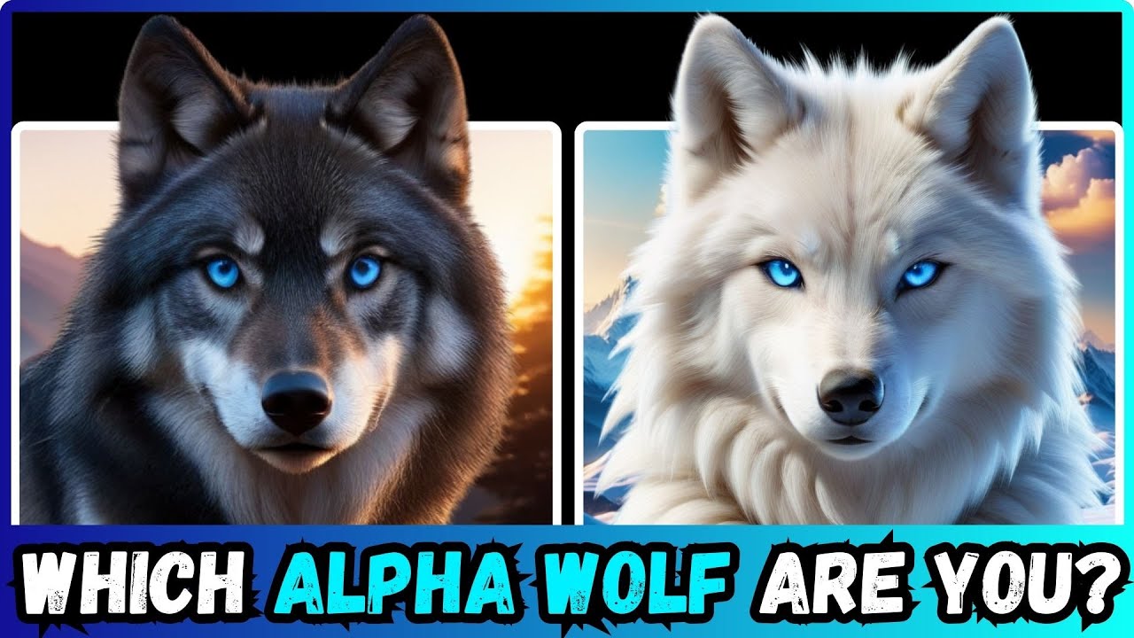 🐺 Откройте своего внутреннего АЛЬФА-ВОЛКА!😍✅ Захватывающий приключенческий тест на определение ли...