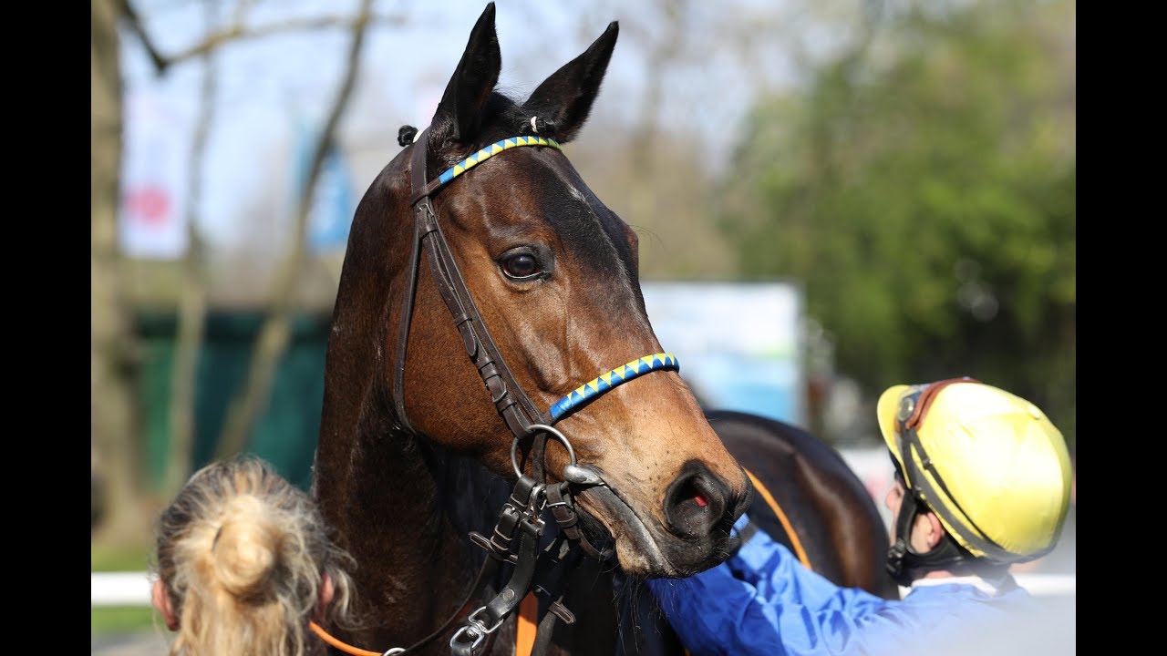 Köln: RaceBets de Grand Prix Aufgalopp (L) - Siegerin: Nacida