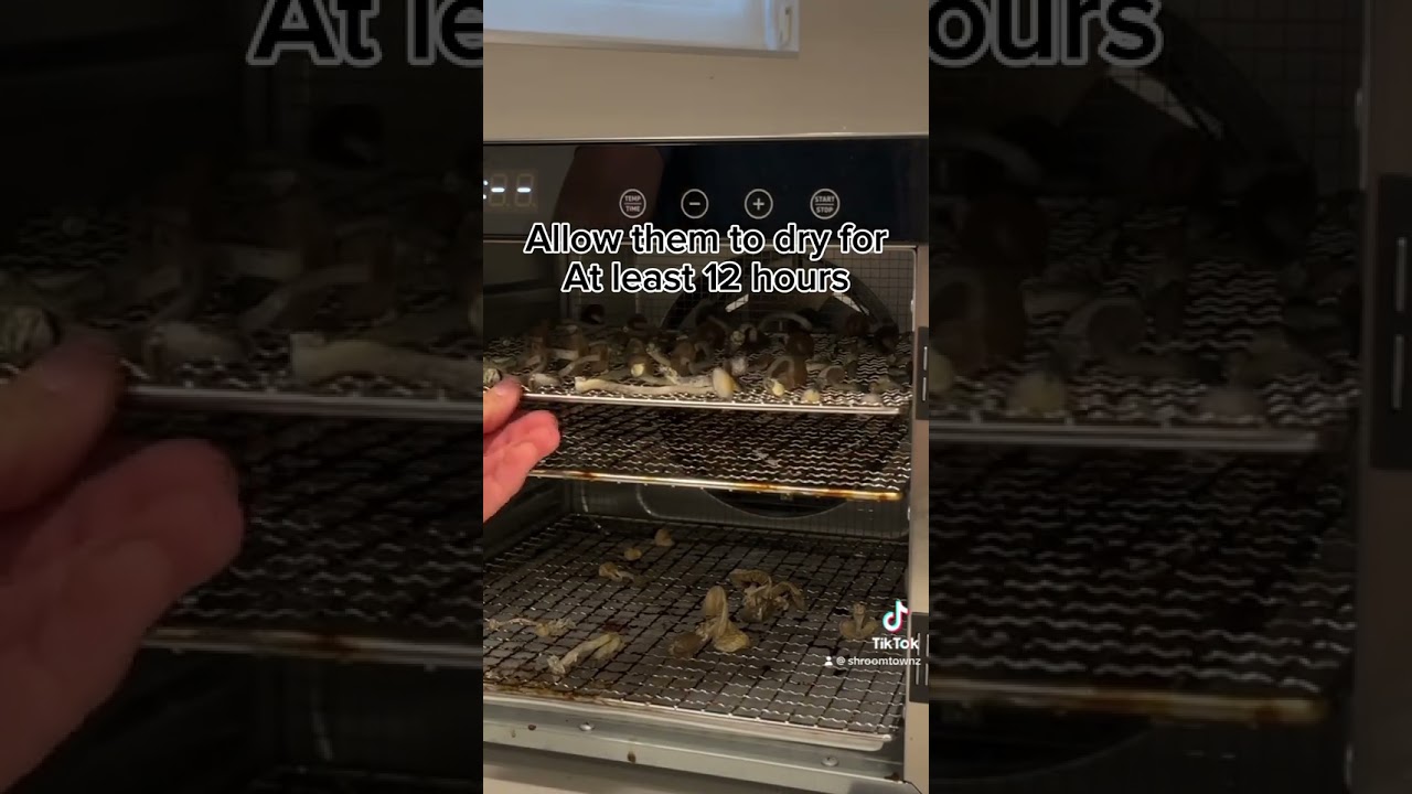 How To Dehydrate Mushrooms #mushroomharvest #mushroom #tutorial