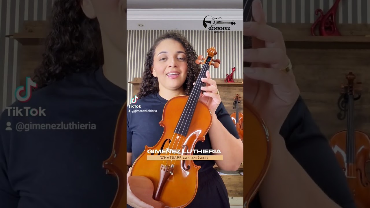 Violino eagle ve441 