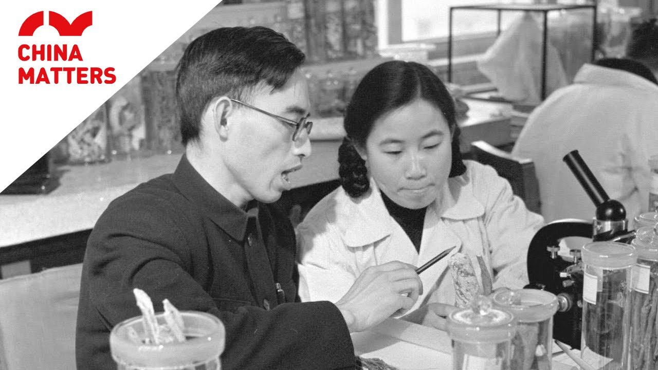 This Chinese team saved millions of lives, but almost lost their own!