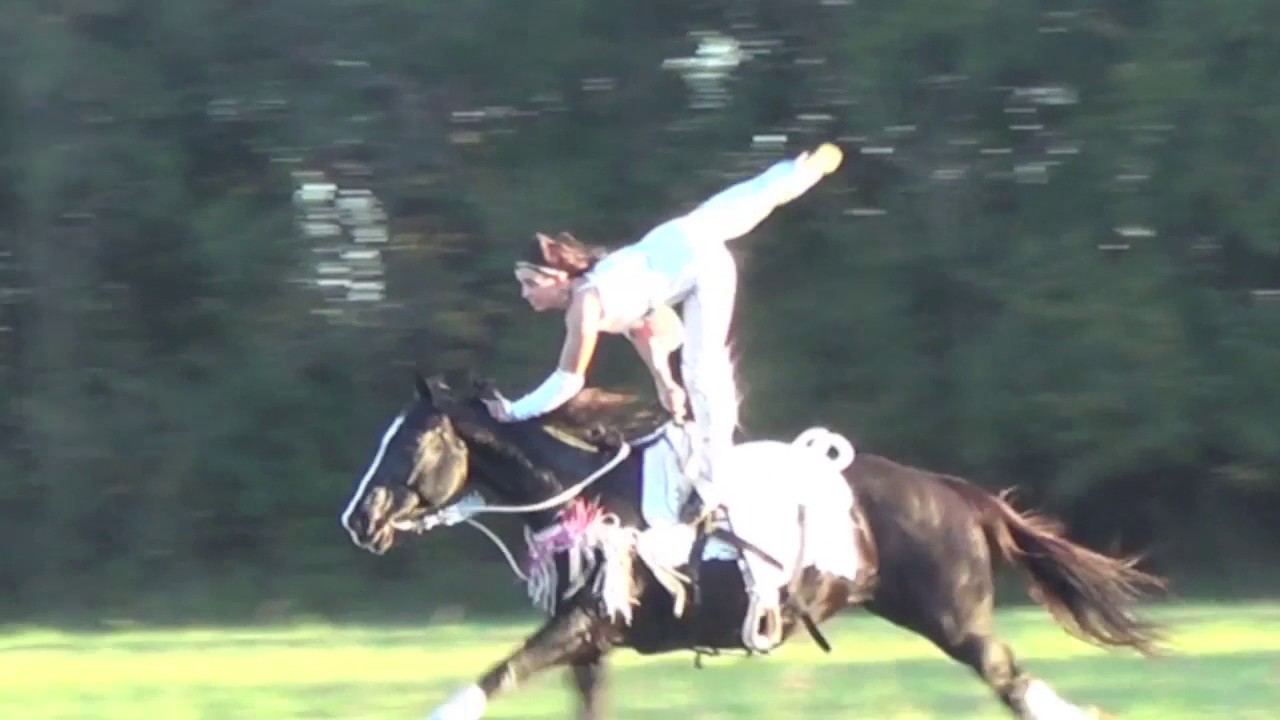 2016 Magic in Motion- Madison MacDonald Thomas Trick Riding
