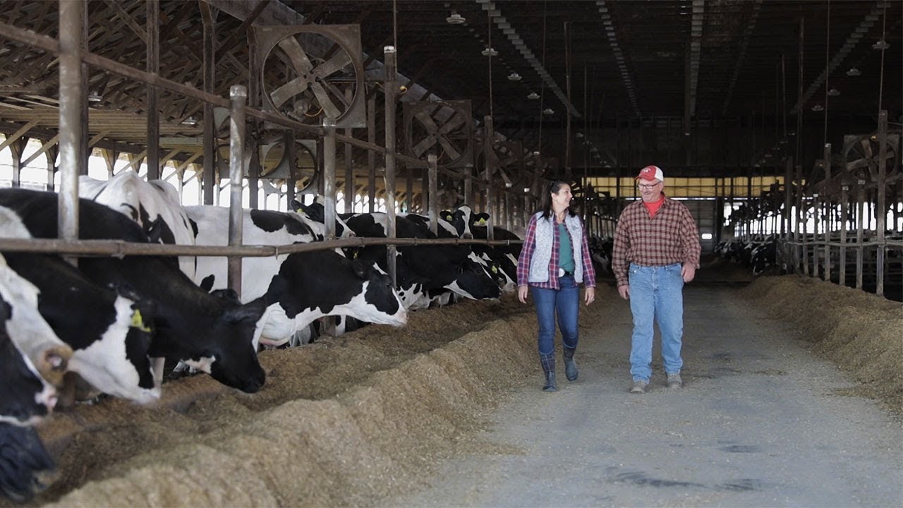 Leading the Way: Ar-Joy Farms