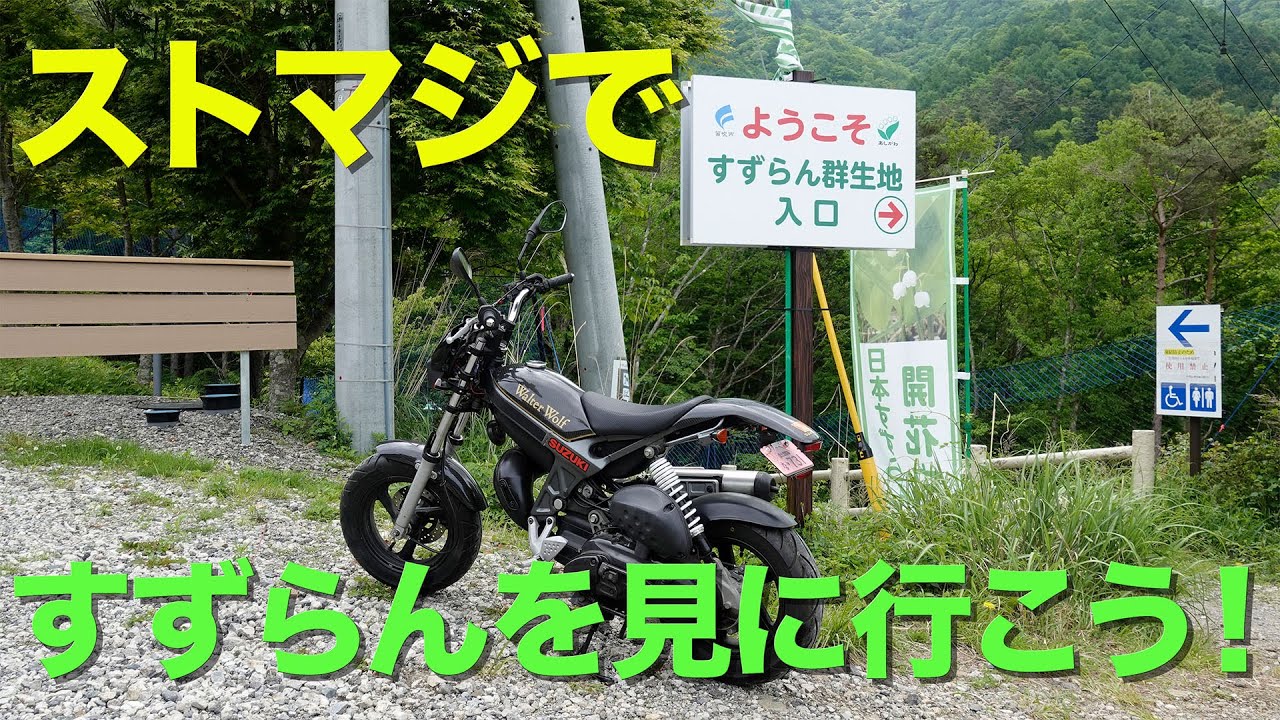 ストマジですずらんを見に行こう！