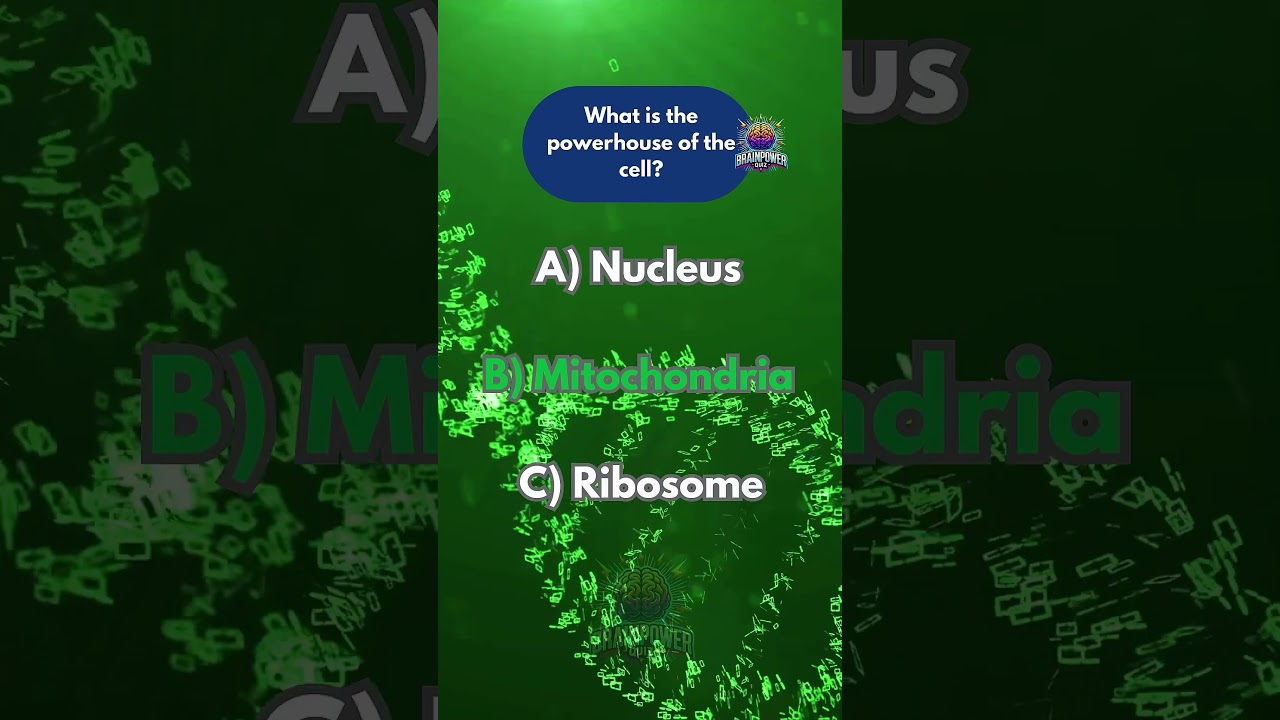 Quiz#quiz #trivia #foryou #viral #for #viralvideos #games #1millionaudition #audience #challenge
