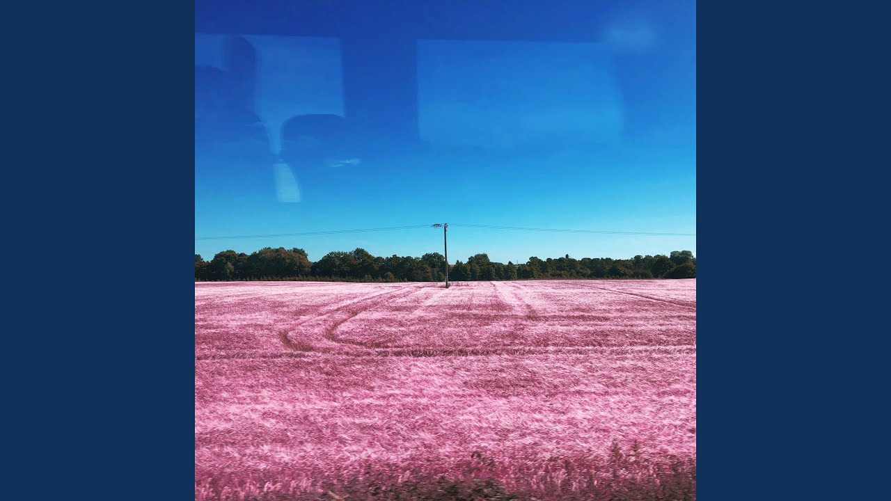 Our Landscape