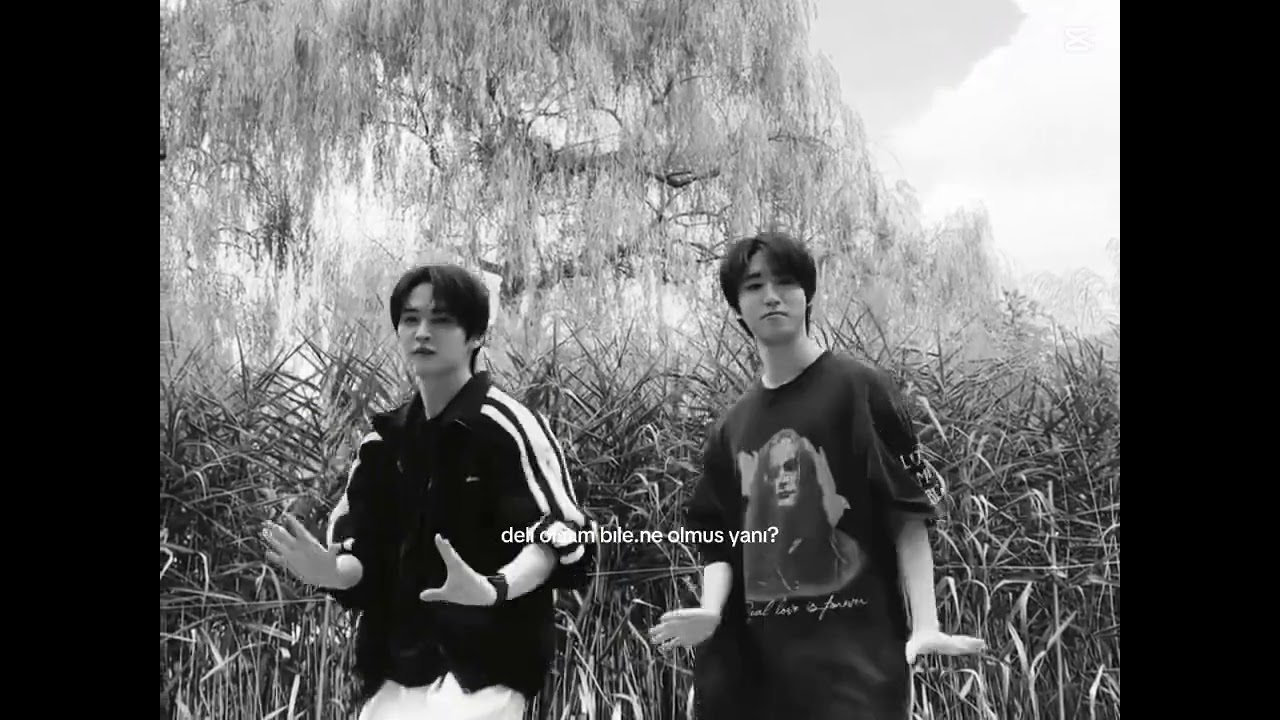 #minsung #leeknow #hanjisung #straykids #stay