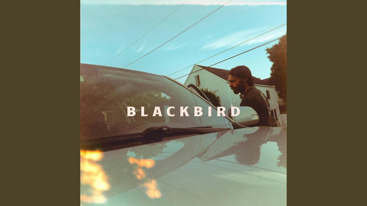 Blackbird