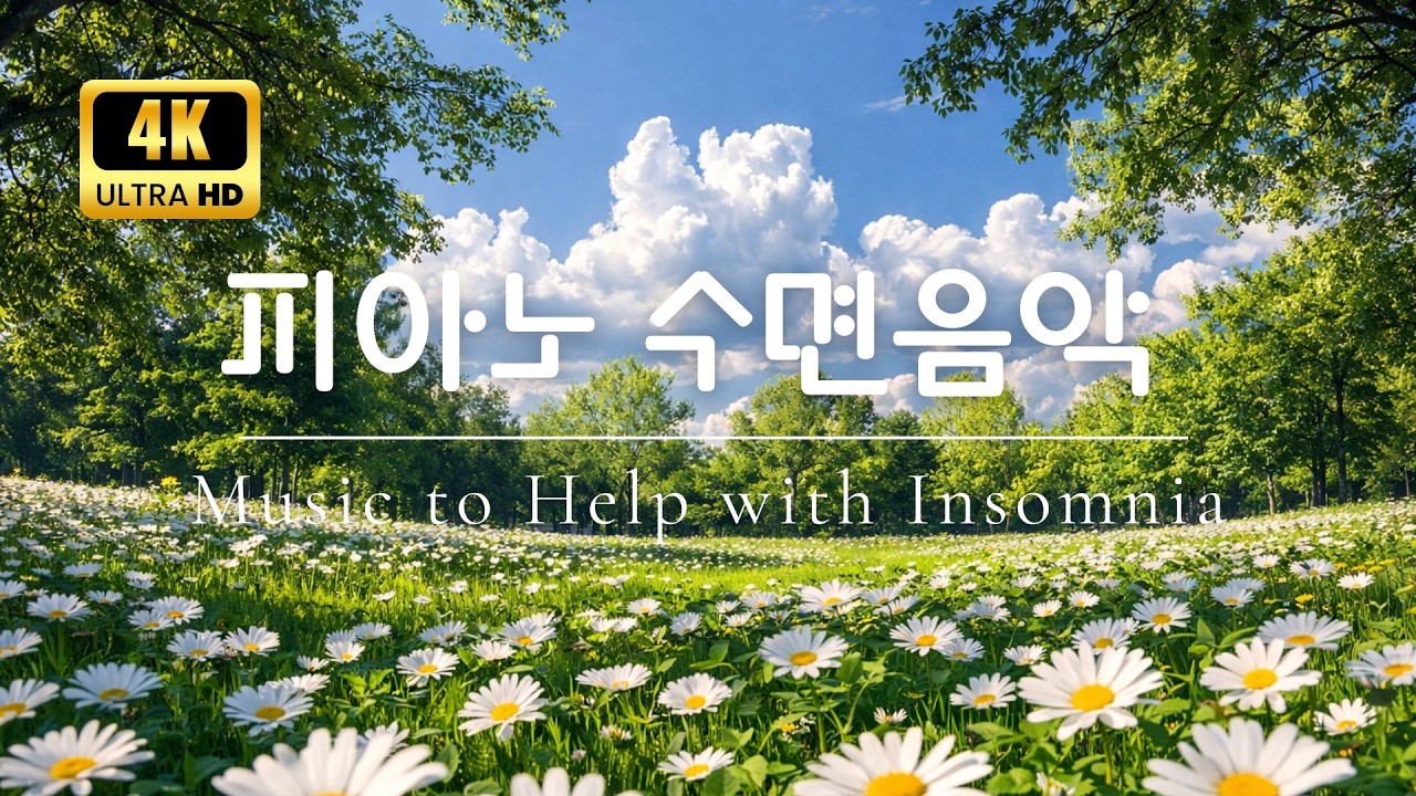 힐링 피아노 음악 🌿 상쾌한 아침을 여는 아름다운 명상 피아노 | 휴식·집중·수면