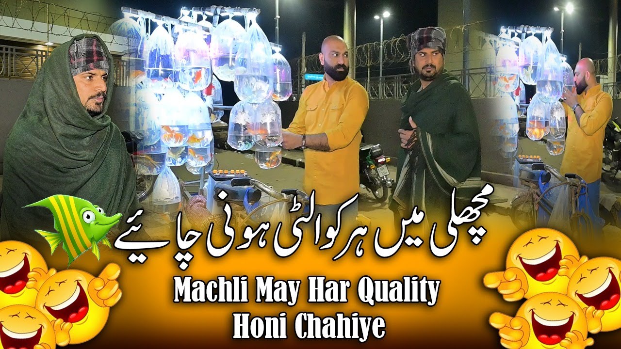 Machli Mae Har Quality Hone Chahiye | Fish Shop | Road Studio