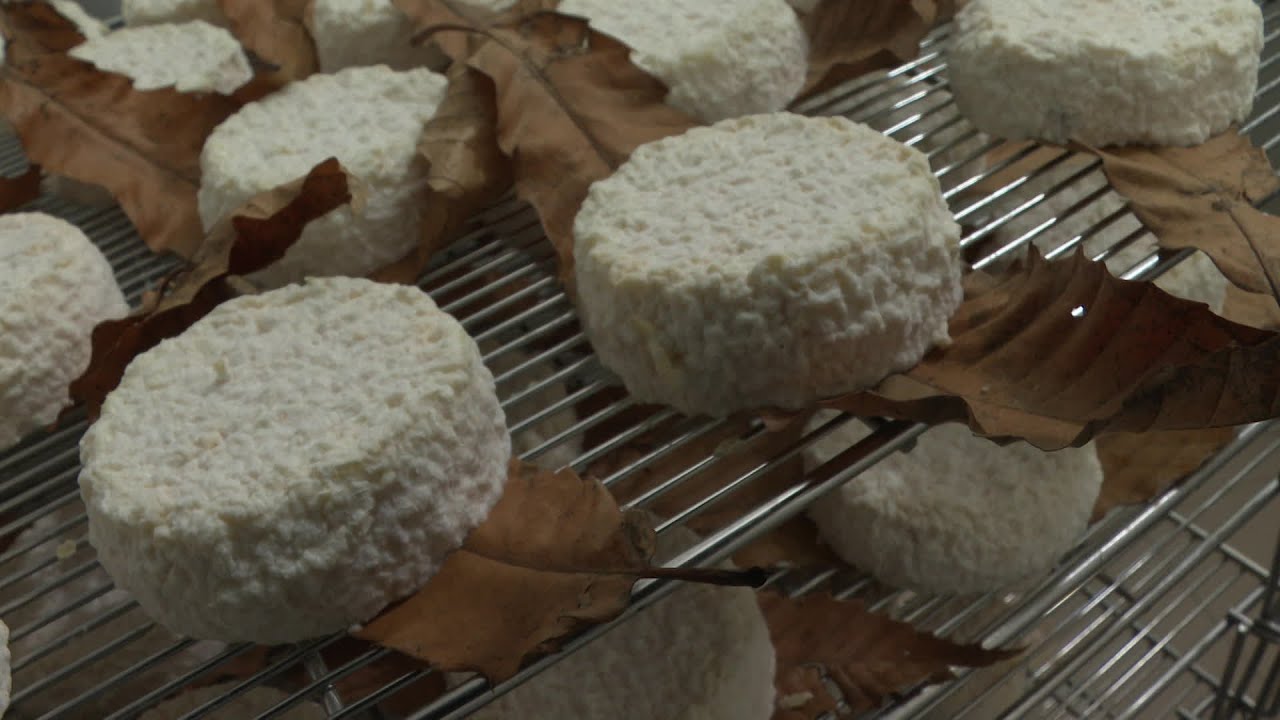Savigné (86) : AOP pour le fromage le Mothais-sur-Feuille