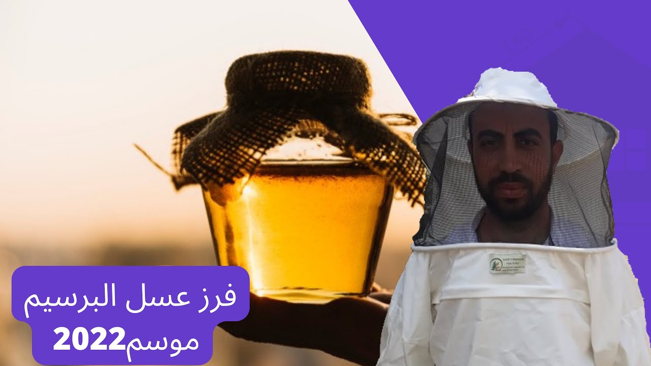 فرز عسل البرسيم موسم 2022 من مناحل المرتضي