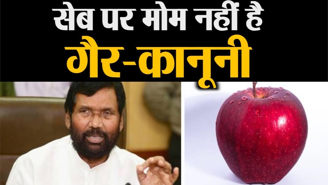 सेब पर मोम लगाने की है 100 साल पुरानी परम्परा | Wax Coating on Apple History | Amar Ujala
