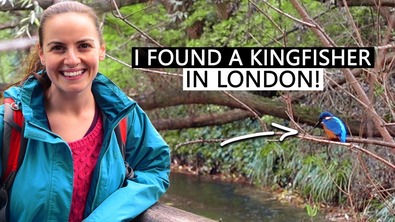 Парк Морден-Холл — прогулка по тропе Уондл в Лондоне.