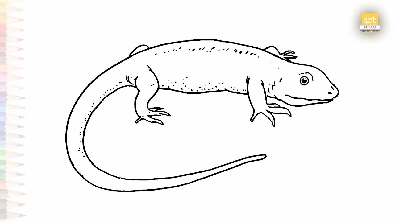 Salamander drawing easy | Art tutorial | How to draw A Salamander step by step | #artjanag