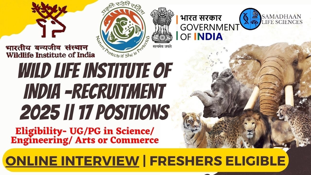 WII Dehradun Recruitment 2025 | Online Interviews | 17 Positions | UG/PG| Non- Net Gate | Apply Now