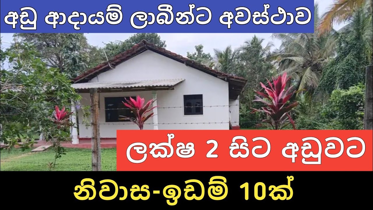 ලක්ෂ 2 සිට අඩුවට නිවාස ඉඩම් 10ක් | Aduwata idam gewal | House for sale | Land sell | Ikman selling 