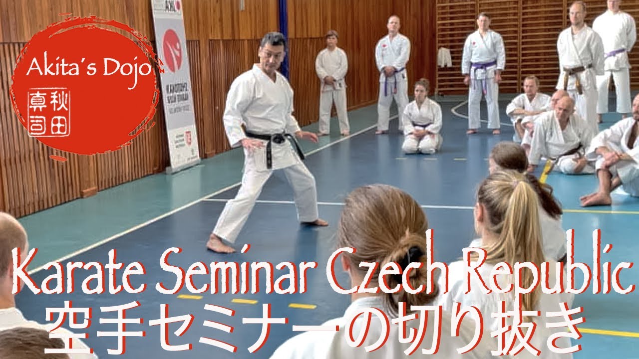 Karate Seminar in Czech Republic 11 2022   Tekki Shodan : 空手セミナーの切り抜き 鉄騎初段  【Akita's Karate Video】