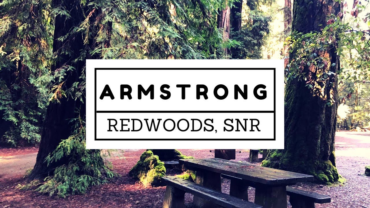 The Most Peaceful Walk Ever - Armstrong Redwoods