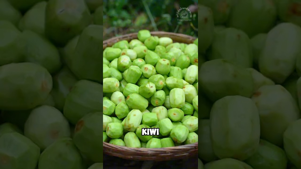 Chewy snack prepared with dried kiwi
