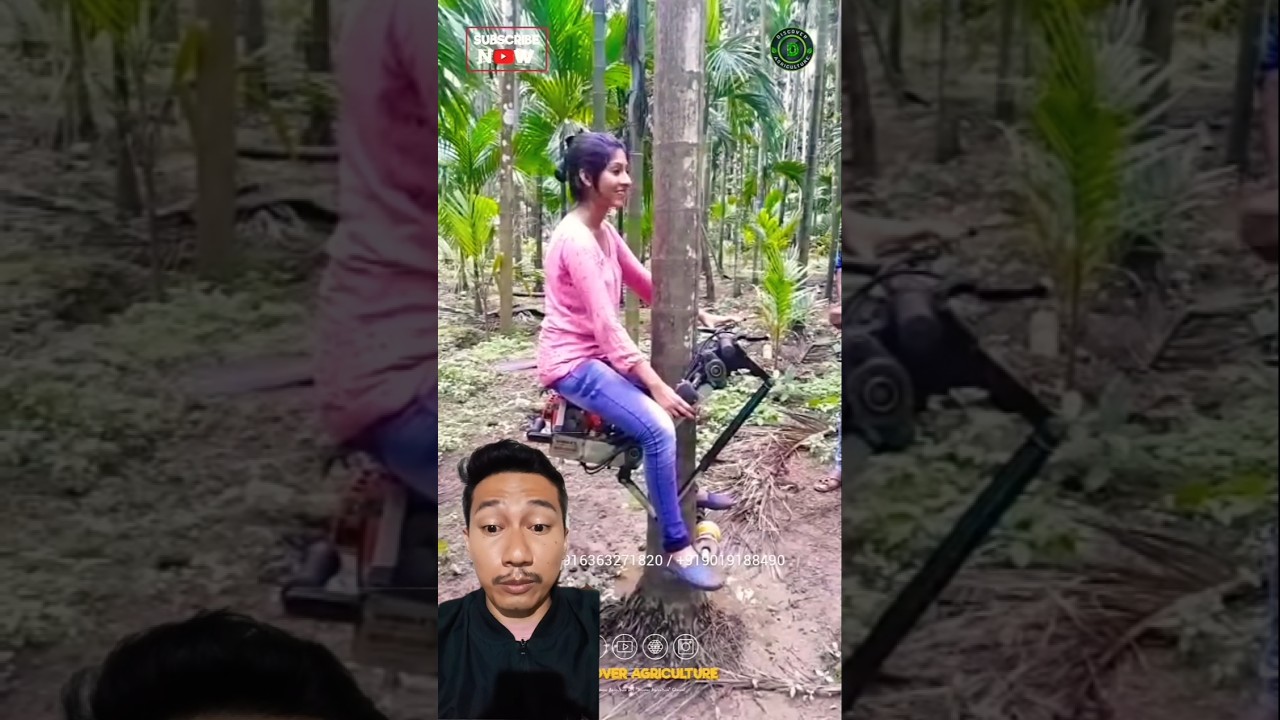 alat modern untuk memanjat kelapa #pertanian #gardening #machine