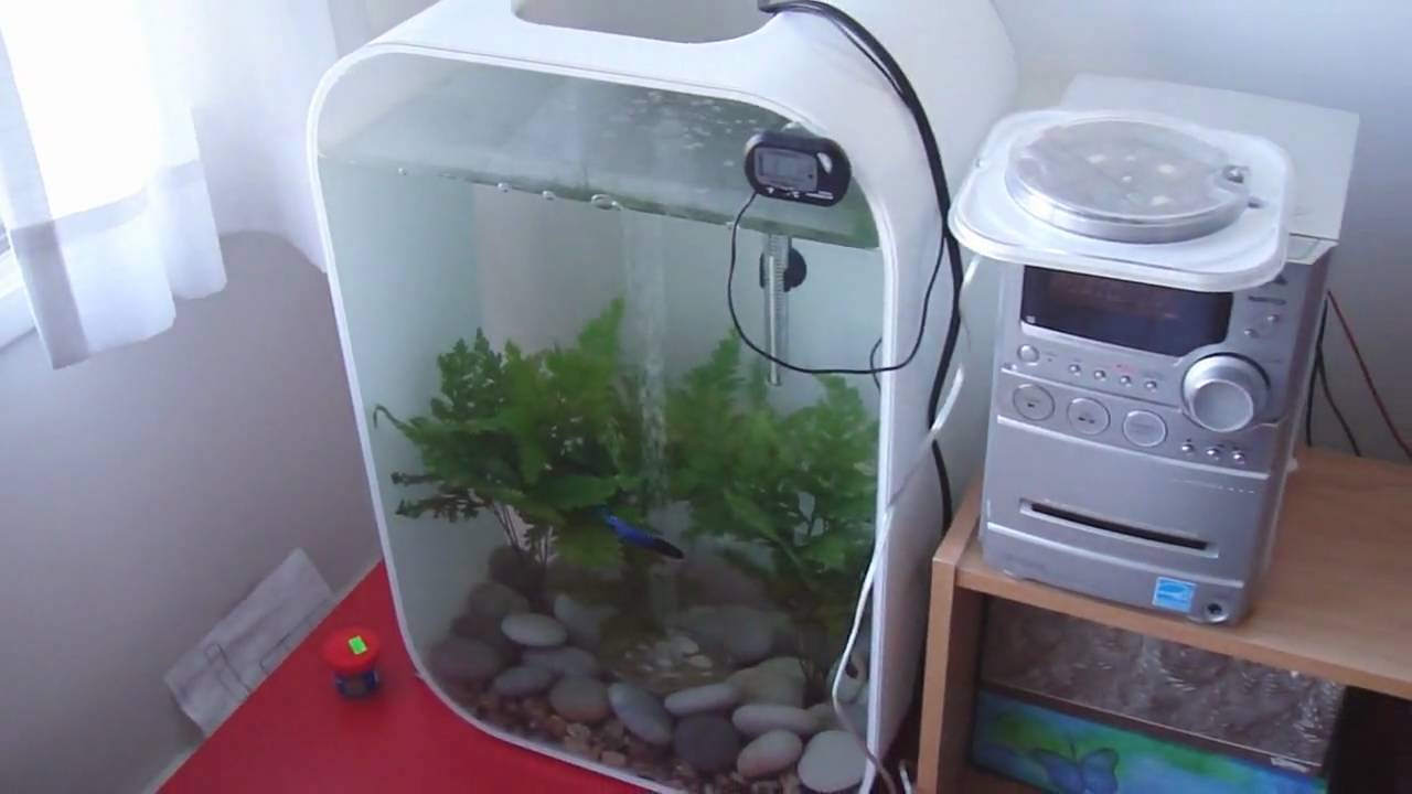 Biorb Life 45L (12 Gallons) Aquarium with Live Plants