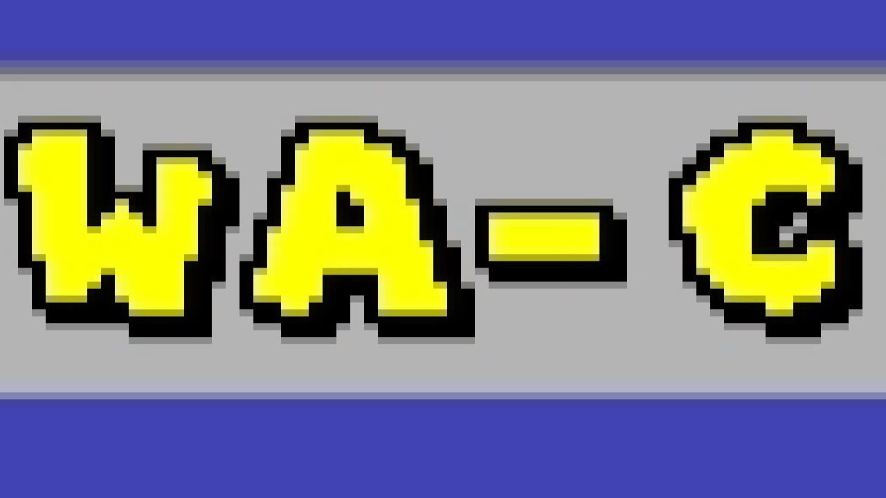 Newer DS's Super Secret™️