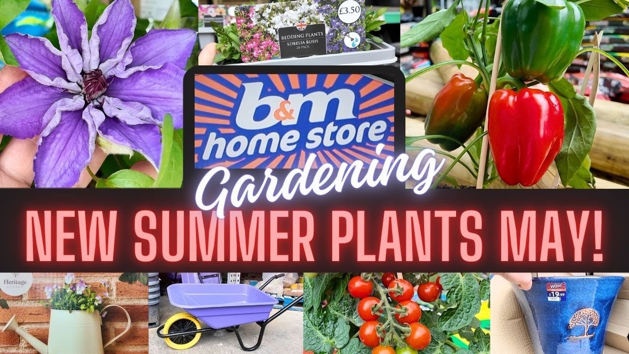 B&M New Summer Garden Plants!🌱| May 2025 Shop With Me | UK Gardening