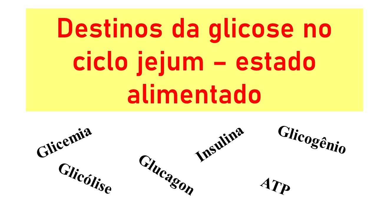 Destinos da glicose no ciclo jejum - estado alimentado